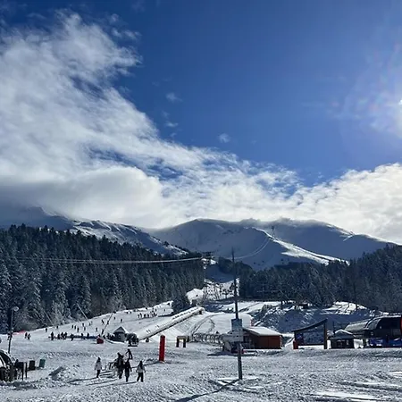 Studio-cabine Confortable à Le Lioran, Proche Pistes Et Commerces - Fr-1-787-92 Laveissière